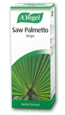 saw palmetto